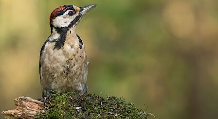 Pascal staat met twee duimen omhoog voor het sluiswachtershuisje, met aan zijn linkerzijde het water en de sluispassage.