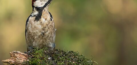 Remco en Yvette in hun tuin