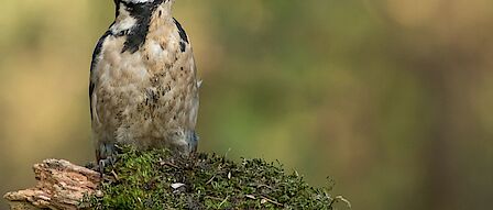 Pascal en Pieter met de sluis op de achtergrond.