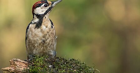 Het Gebiedsconvenant werd in juni van dit jaar getekend. 