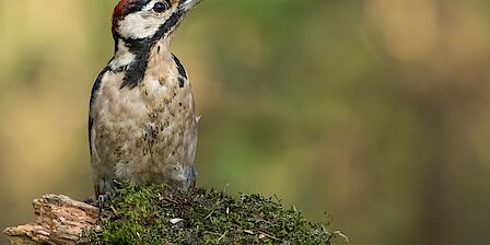 Dick en Reena Zuiderbaan voor het huis in de Kasteelstraat waar zij ooit samen startten.