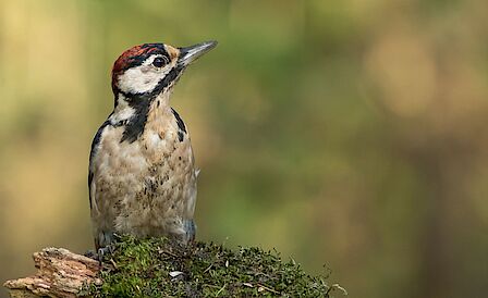 Jonge studenten staan rond een tafel en werken samen aan opdrachten.