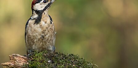 Portret van Pascal de sluiswachter, met water op de achtergrond.